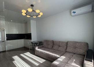 Сдаю 1-комнатную квартиру, 45 м2, Ростов-на-Дону, Доломановский переулок, 19