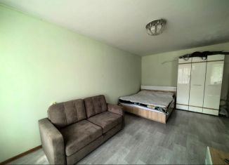 Продается 1-комнатная квартира, 31.5 м2, Абакан, улица Пушкина