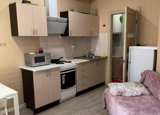 Сдаю квартиру студию, 20 м2, Сочи, улица Ленина, 288