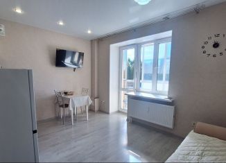 Сдам в аренду квартиру студию, 21.6 м2, Сыктывкар, Октябрьский проспект, 216