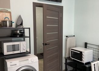 Сдам в аренду однокомнатную квартиру, 34 м2, Санкт-Петербург, Суздальское шоссе, 24к3, ЖК Новоорловский