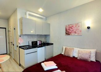 Аренда квартиры студии, 18 м2, Сочи, Ясногорская улица, 16/2к3