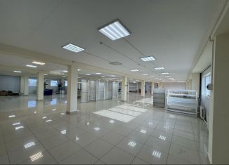 Помещение свободного назначения на продажу, 1153.9 м2, Татарстан, улица Гиматдинова, 116А