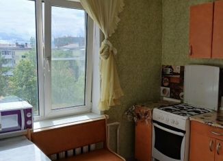 1-ком. квартира на продажу, 29 м2, Биробиджан, Широкая улица, 8