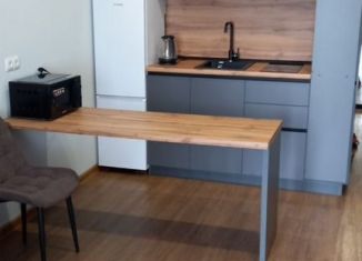 Сдача в аренду квартиры студии, 29.1 м2, Пенза, улица Измайлова, 41В