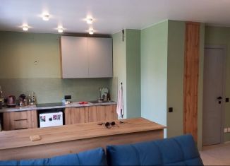 Сдаю в аренду однокомнатную квартиру, 45 м2, Казань, Октябрьская улица, 34