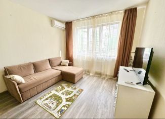 Однокомнатная квартира в аренду, 40 м2, село Раздольное, Тепличная улица, 63к2