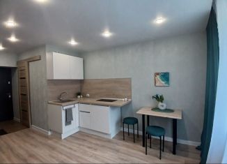 Продается квартира студия, 18.3 м2, Екатеринбург, метро Площадь 1905 года, Ясная улица, 1к6