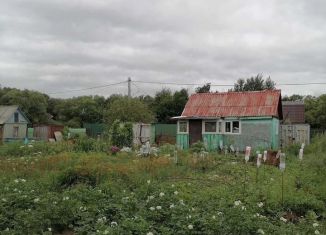 Продам дачу, 20 м2, Еврейская АО, Центральная улица