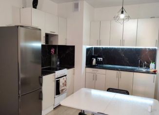 2-ком. квартира на продажу, 55 м2, деревня Анкудиновка, Русская улица, 9, ЖК КМ Анкудиновский Парк