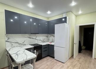 Сдается в аренду квартира студия, 28 м2, Республика Башкортостан, проспект Дружбы Народов, 61/1