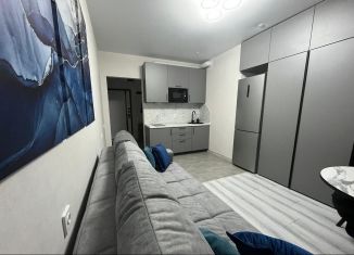 Сдам в аренду квартиру студию, 28 м2, Ростов-на-Дону, проспект Соколова, 68/118Вс2