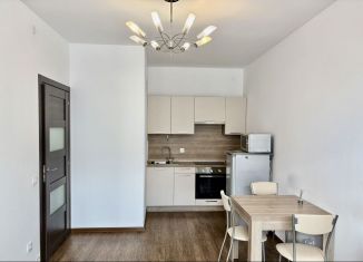 Продам однокомнатную квартиру, 33.5 м2, Санкт-Петербург, муниципальный округ Озеро Долгое, Торфяная дорога, 17к6