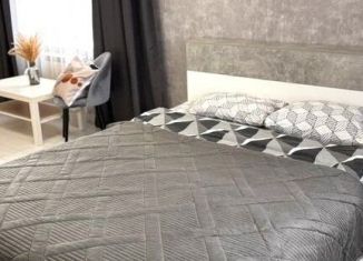 Сдаю в аренду 1-комнатную квартиру, 40 м2, Ростов-на-Дону, улица Шеболдаева, 95с2