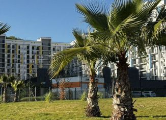 Квартира в аренду студия, 24 м2, Сочи, улица Искры, 88к2