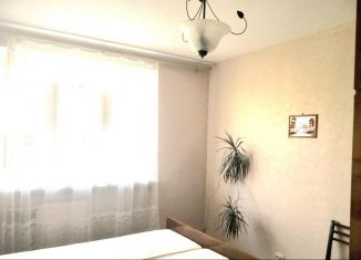 2-комнатная квартира в аренду, 52 м2, Санкт-Петербург, Хасанская улица, 26к1, метро Ладожская