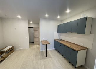 Продается квартира студия, 24 м2, село Чигири, улица Василенко, 7/1