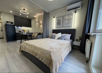 Квартира на продажу студия, 28.8 м2, Мурино, улица Шувалова, 28