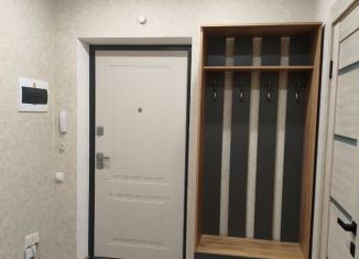 Сдается 1-ком. квартира, 34 м2, Казань, улица Михаила Миля, 11