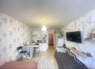 Продается квартира студия, 25.4 м2, Мурино, улица Шувалова, ЖК Мой Город