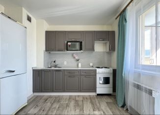 Аренда однокомнатной квартиры, 40 м2, Казань, улица Тансык, 7