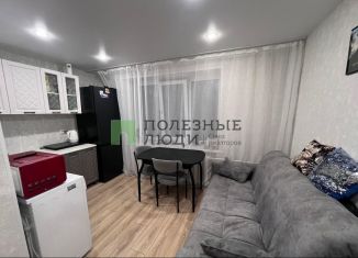 Продам однокомнатную квартиру, 27.4 м2, Набережные Челны, переулок имени Газинура Гафиатуллина, 5