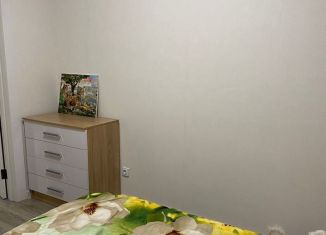 Сдача в аренду 2-ком. квартиры, 40 м2, Республика Башкортостан, улица Асхата Мирзагитова, 8