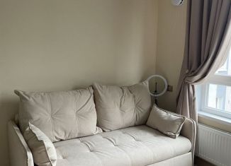 Квартира в аренду студия, 26.6 м2, Карелия, Советская улица, 5