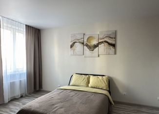 Квартира в аренду студия, 24 м2, Республика Башкортостан, улица Евгения Столярова, 16