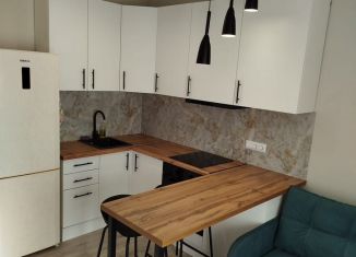 Сдам квартиру студию, 24 м2, Ростов-на-Дону, Горсоветская улица, 49/2