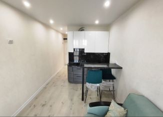 Сдается в аренду квартира студия, 22 м2, Пенза, улица Шмидта, 24