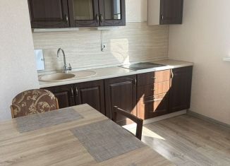 Сдаю в аренду 1-комнатную квартиру, 45.2 м2, Краснодар, улица Ленина, 64/1, микрорайон Центральный