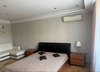 1-ком. квартира в аренду, 47 м2, Ростов-на-Дону, Днепровский переулок, 116Д