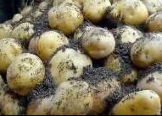 Продается гараж, 10 м2, Новокузнецк, Транспортная улица, 64