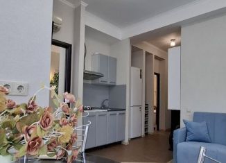 Сдаю в аренду двухкомнатную квартиру, 50 м2, Сочи, Виноградная улица, 123/4