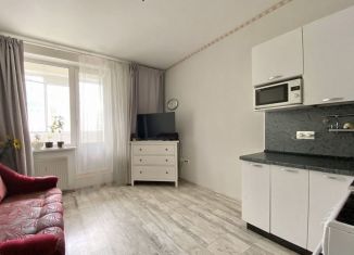 Продам квартиру студию, 20.8 м2, Кудрово, Пражская улица, 15, ЖК Вернисаж