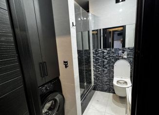 Сдается трехкомнатная квартира, 85 м2, село Раздольное, Тепличная улица, 83/1