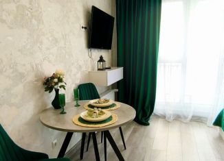 Сдача в аренду квартиры студии, 30 м2, Ростов-на-Дону, улица Ерёменко, 114/1с1, ЖК Пятый Элемент