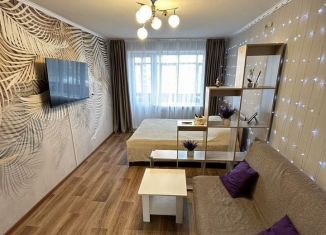 Продается 1-комнатная квартира, 33 м2, Мурманск, улица Шабалина, 1, Первомайский округ