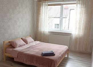 Аренда двухкомнатной квартиры, 56 м2, Калининград, улица Станиславского, 66