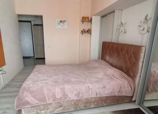 Продажа однокомнатной квартиры, 33.5 м2, Ставрополь, улица Чехова, 85/19