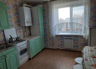 Аренда 2-комнатной квартиры, 50 м2, Звенигово, Советская улица, 57