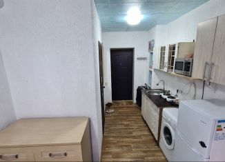 Продается квартира студия, 19 м2, село Мысхако, улица Владимира Кайды, 8