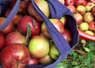 Продается дача, 57 м2, СТ Молодость, СТ Молодость, 89