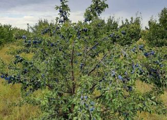 Продам земельный участок, 200 сот., село Зыбины