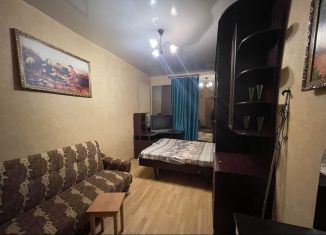 Аренда 1-комнатной квартиры, 37 м2, Санкт-Петербург, Андреевская улица, 3, метро Волковская