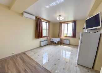 Сдается в аренду однокомнатная квартира, 45 м2, село Весёлое, Ереванская улица, 24