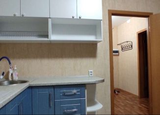 1-комнатная квартира в аренду, 45 м2, Челябинск, Магнитогорская улица, 91, Ленинский район