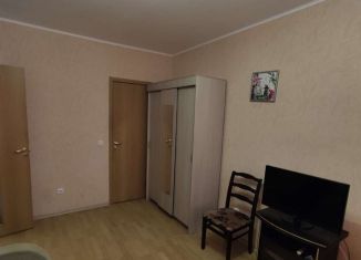 Сдается 1-комнатная квартира, 32 м2, Санкт-Петербург, Гатчинское шоссе, 4к3