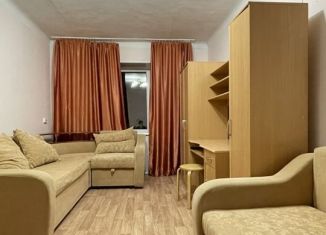 1-комнатная квартира в аренду, 33 м2, Новосибирск, улица Блюхера, 36, метро Площадь Маркса
